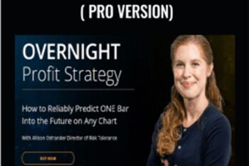 OVERNIGHT Profit Strategy ( Pro Version) - Allison Ostrander