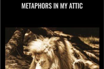 Metaphors in My Attic - Andrew Austin