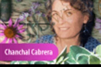 Growing Your Own Herbal Medicine - Chanchal Cabrera