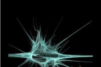 Consciousness Shifting - Brent Phillips & Daniel Metraux