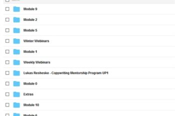 Copywriting Mentorship Program - Lukas Resheske