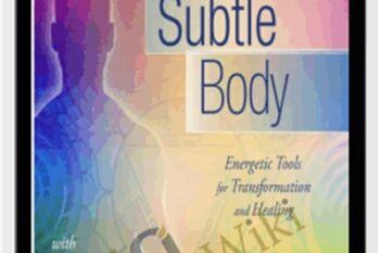 The Subtle Body Training Course - Cyndi Dale