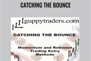 Catching the Bounce - Daryl Guppy