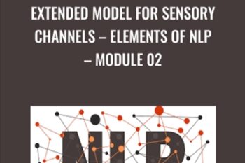 Extended Model for Sensory Channels-Elements of NLP-Module 02 - Chris Mulzer
