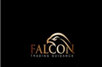 Falcon Trading Guidance - Falcon FX Pro