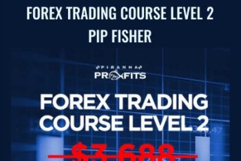 Forex Trading Course Level 2 - Pip Fisher