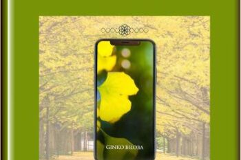 Ginko Biloba  -  Eric Thompson