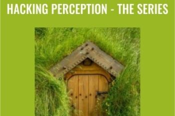 Hacking Perception -The Series - Joseph Riggio