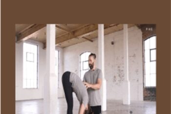 Push - Handstand Factory