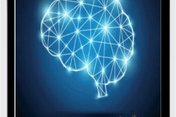 Rewire the Brain for Success - Jo Dunning