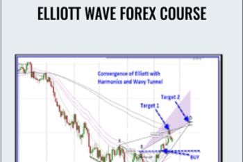 Elliott Wave Forex Course - Jody Samuels