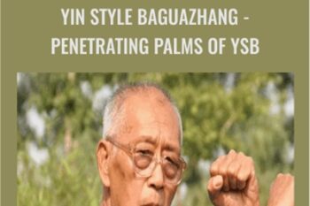 Yin style Baguazhang -Penetrating Palms of YSB - Liu Shichang