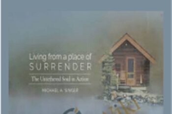 Living From A Place Of Surrender - Michael Singer