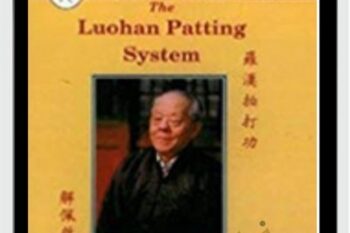Luohan Patting System of Yin Style Bagua II - Xie Peiqi