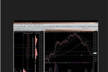 Market Profile Trading Course - Frank Buttera