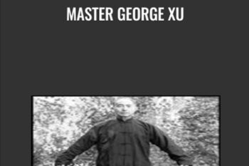 Master George Xu - Wu Wei Qigong