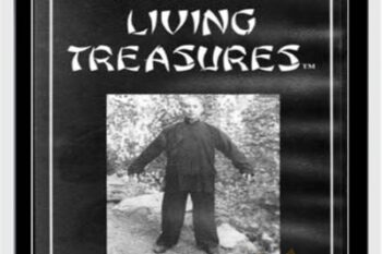 Wu Wei Qigong - Master George Xu