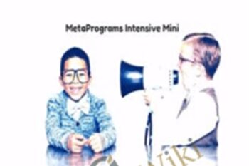MetaPrograms Intensive Mini Course - Joseph Riggio