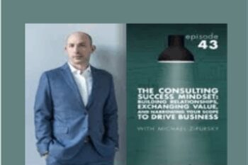 Momentum (Consulting Success) - Michael Zipursky