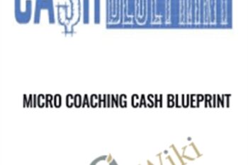 Micro Coaching Cash Blueprint - Ray Higdon