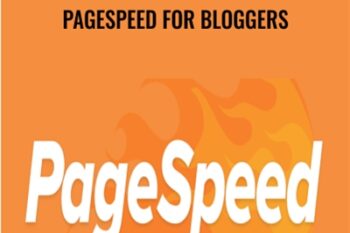 PageSpeed for Bloggers - Money Lab