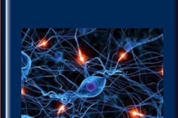 Quantum Mind Power 2.0  -  Morry Zelcovitch
