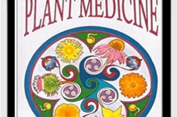 Making Plant Medicine - Richo Cech
