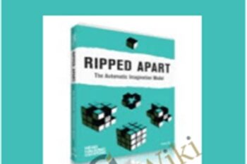 The Automatic Imagination Model - Ripped Apart
