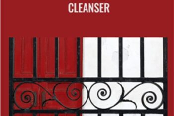 The Energetic Blood Cleanser - Rudy Hunter