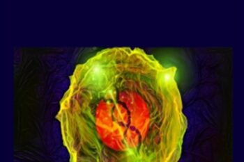 Smart Stem Cells - Sapien