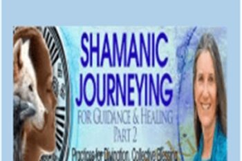 Shamanic Journeying for Guidance and Healing part 2 - Sandra Ingerman