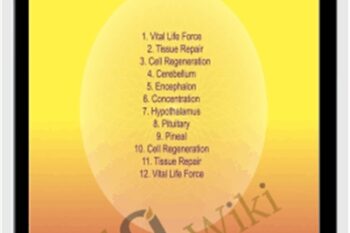 Brain - Sound Healing Center