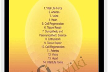 Circulatory System - Sound Healing Center