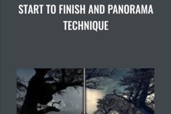 Start to Finish and Panorama Technique - Max Rive