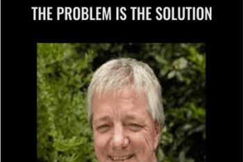 The Problem is The Solution - Stephen Gilligan