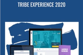 TRIBE Experience 2020 - Stu McLaren