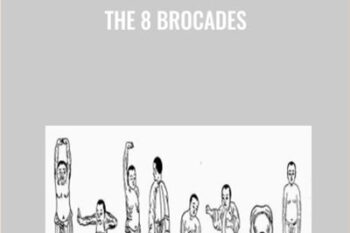 The 8 Brocades - Flowing Zen