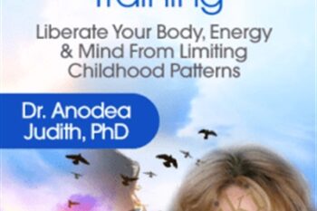 The Character Type Training - Anodea Judith