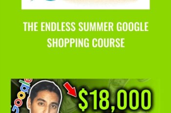 The Endless Summer Google Shopping Course - Sharad Thaper