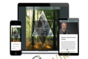 Three Dimensional Coaching - Blaine Bartlett