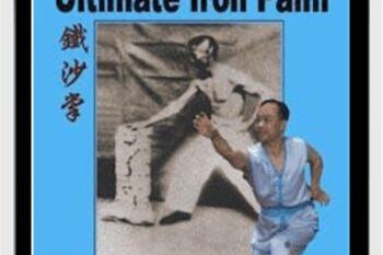 Shaolin Iron Palm - Wing Lam