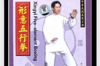 Xingyi Five Elements Boxing - Adam Hsu