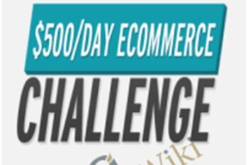 0 To $500 Day Shopify eCom Bootcamp - Travis Stephenson