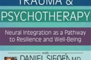 2017 Principles and Practice of CBT-I-Cognitive Behavioral Therapy for Insomnia - Donn Posner