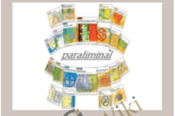4 New Paraliminals - Paul Scheele