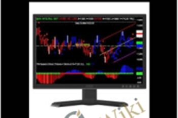 5 Indicator Package TradeStation Special - Tradethemarkets