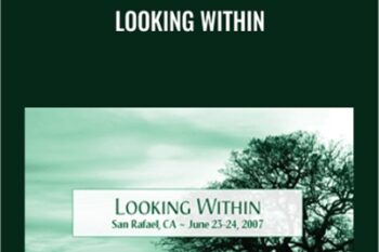 Looking Within - Adyashanti