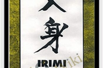 Irimi-Iriminage - Hiroshi Ikeda