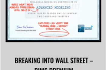 Breaking into Wall Street - BIWS Premium
