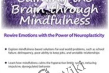 Calming the Brain through Mindfulness: Rewire Emotions with the Power of Neuroplasticity - Mark L. Beischel